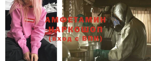 твердый Аркадак