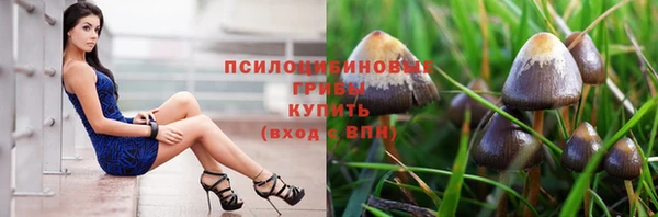 тгк Армянск