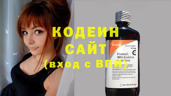 твердый Аркадак