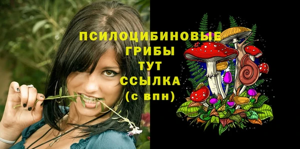 твердый Аркадак