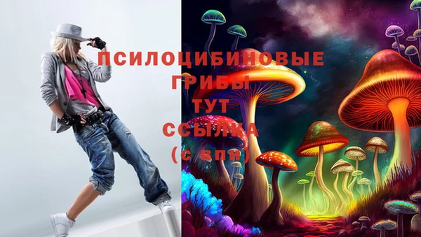 тгк Армянск
