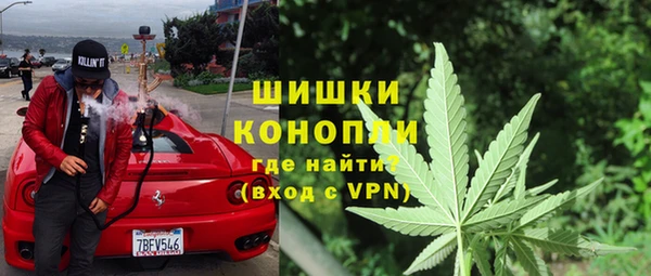 твердый Аркадак