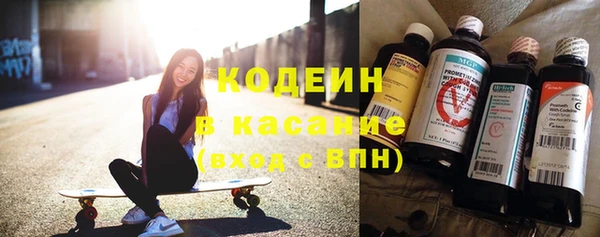 твердый Аркадак