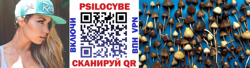 Псилоцибиновые грибы Magic Shrooms  Билибино 
